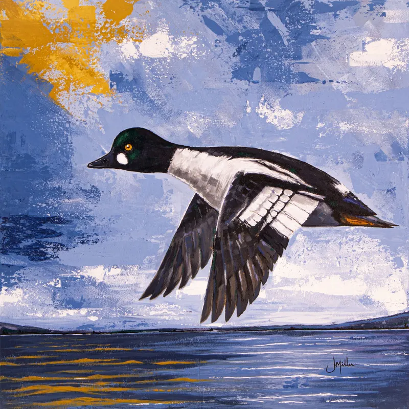 Goldeneye Drake (working title), painting by Jeff Miller